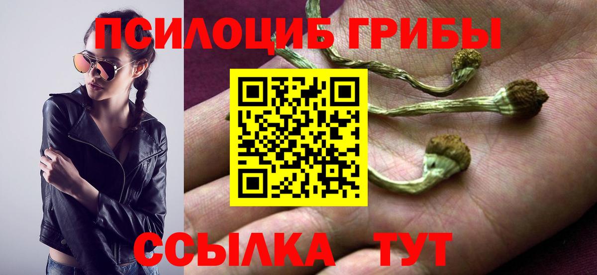 Галлюциногенные грибы GOLDEN TEACHER  Вход с VPN  Корсаков 