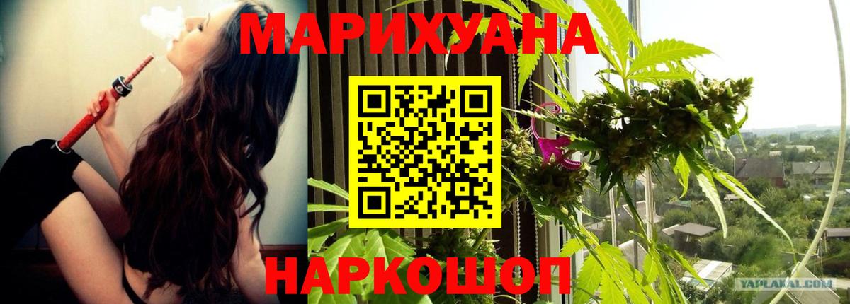 Корсаков  Марихуана сатива  Вход с VPN  Канабис ГИДРОПОН  Конопля план 